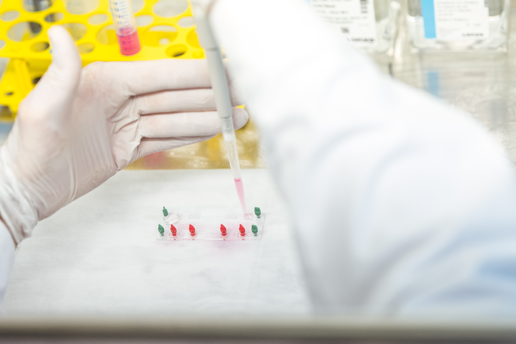 Das Jenaer Biotechnologieunternehmen „Dynamic42“ Wirbt Sieben-stelliges Investment Ein